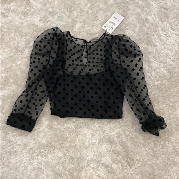 Zara black sheer polkadot crop top. - Picture 2 of 5